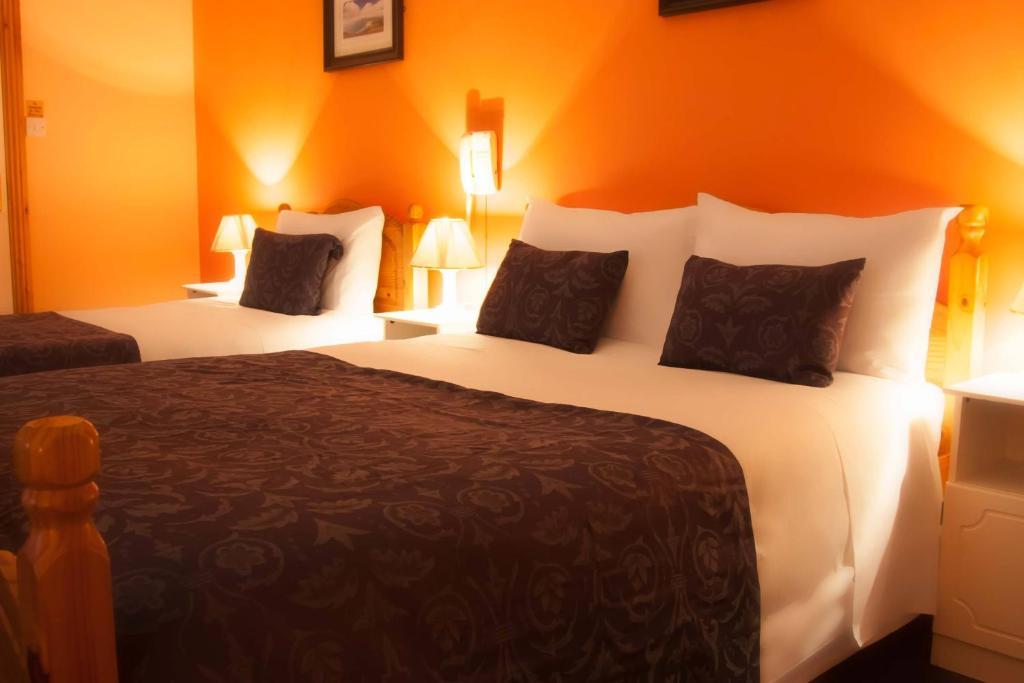 Mccarthy'S Lodge B&B Westport Eksteriør bilde
